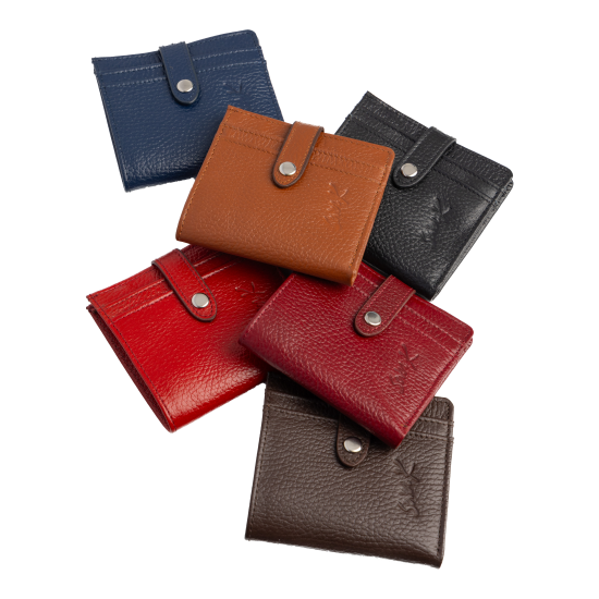 Woman Purse C2296